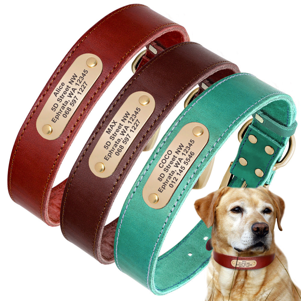 Personalized Dog Collars with Nameplate ID Tags for Medium Large Dogs
